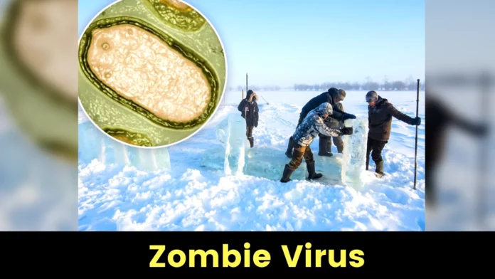 Why The Zombie Virus is trending and How it can affect You